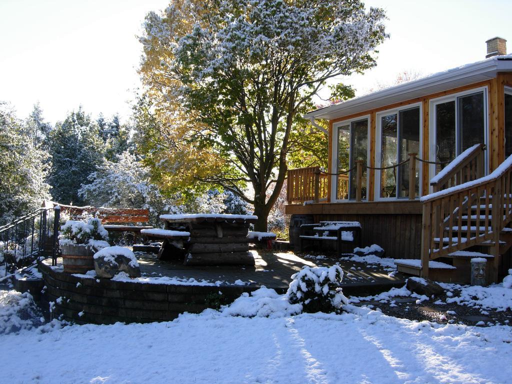 Koch Haus Bed And Breakfast Stratford Exterior photo